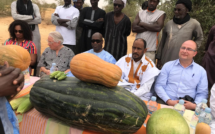 Mauritanie: Appui au développement de l'agriculture irriguée
